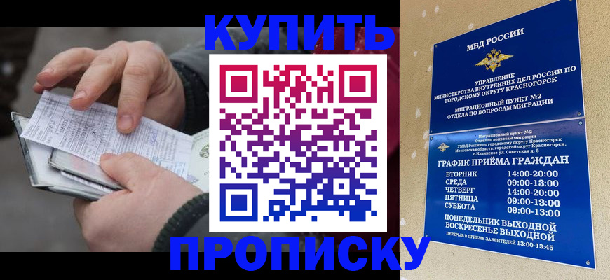 временная регистрация недорого в Заволжске